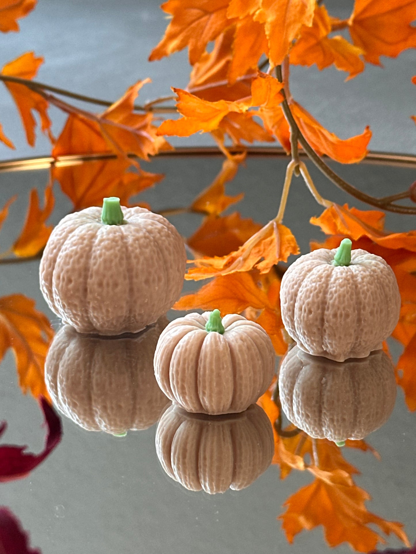 Mini Pumpkins Set
