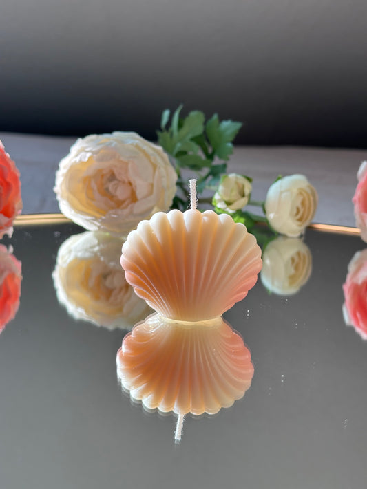 Mini Shell