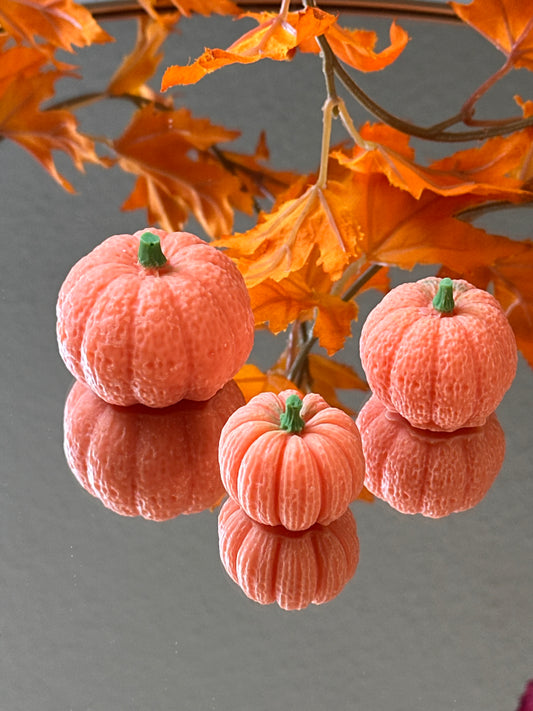 Mini Pumpkins Set