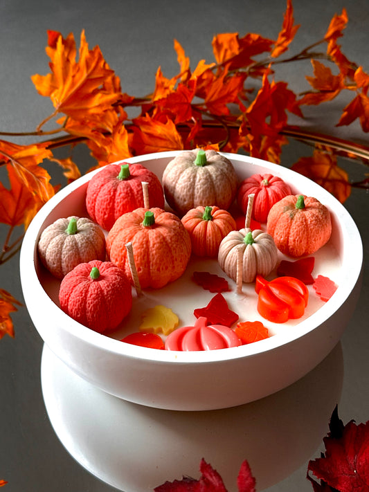 Pumpkin Garden